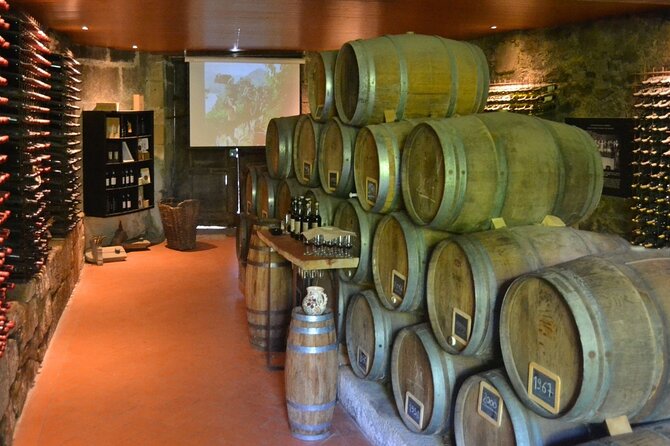 Douro Three Winery Small Group Tour with Lunch and Tastings - Quick take: what makes this Douro tour special