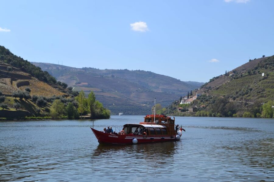 Douro Tour with Wine Tasting and Visit to Lamego and Pinhão - Should You Book This Douro Tour with Wine Tasting and Lamego + Pinhão?