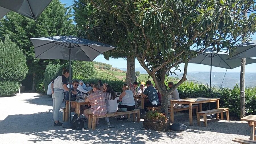 Douro Tour with Wine Tasting and Visit to Lamego and Pinhão - From Lapa Church to the Douro: How the Day Really Flows