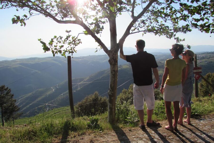 Douro Tour with Wine Tasting and Visit to Lamego and Pinhão - Lamego Free Time: Two Hours to Eat and Walk