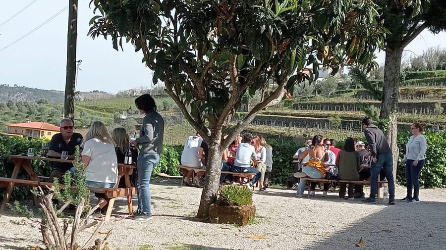 Douro Tour with Wine Tasting and Visit to Lamego and Pinhão - Comfort and Group Size: What Matters in a 10-Hour Schedule
