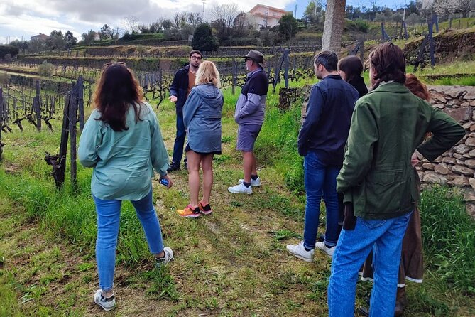 Douro Tour with Wine Tasting, River Cruise and Visit to Lamego - Price and What You’re Actually Getting for $95.54
