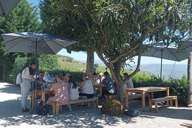 Douro Tour with Wine Tasting, River Cruise and Visit to Lamego - Lamego Vineyard Visit: Wine Tasting Built Around Douro Realities