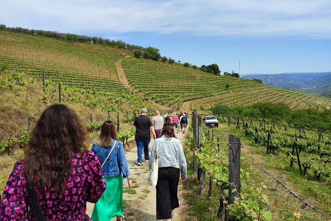 Douro Tour with Wine Tasting, River Cruise and Visit to Lamego - Getting Started at Igreja da Lapa (8:30 am) and Why Breakfast Helps