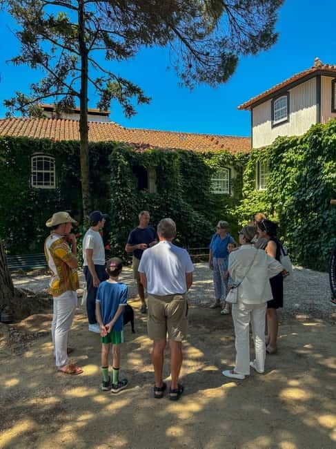Douro Valley: 4x4 Safari and Vineyard Visit - Should you book this 4x4 Safari and vineyard visit?