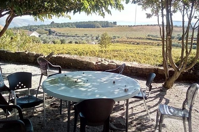 Douro Valley: A Half-Day, 1 winery, tatings & 1-h Boat tour - The Drive’s Part of the Deal: Local Pride Leaves Porto Smoothly