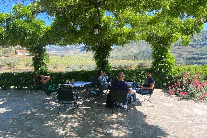 Douro Valley: A Half-Day Tour with visit, tastings & 1-h Cruise - Winery visit and Port tastings: the heart of the day