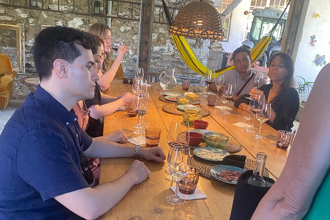 Douro Valley: A Half-Day Tour with visit, tastings & 1-h Cruise - Final verdict: should you book this Douro Valley half-day?