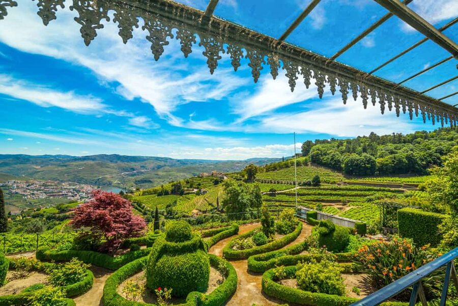 Douro Valley: A Sensory Experience in the Douro: Wines, Olive Oil, and History - Key points to know before you go