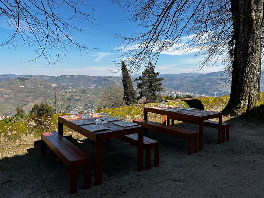 Douro Valley: A Sensory Experience in the Douro: Wines, Olive Oil, and History - 200-Year-Old Port Warehouses: The Tasting That Stays Grounded
