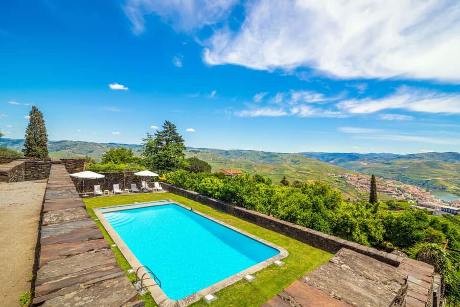 Douro Valley: A Sensory Experience in the Douro: Wines, Olive Oil, and History - DOC Douro and Port: What You’re Learning Without Feeling Tested