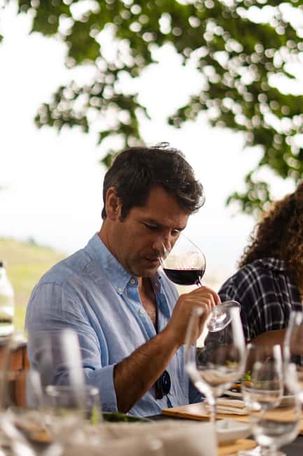 Douro Valley: A Sensory Experience in the Douro: Wines, Olive Oil, and History - Time After the Tour: Pool Relaxation and a Slow Return to the Land