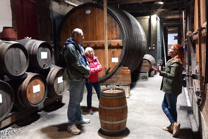DOURO VALLEY & AMARANTE: Private Tour, Wine Tour and Cruise - Pinhão River Cruise: The Douro View From the Best Seat