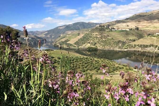 Douro Valley and Régua Panoramic Cruise with Lunch from Porto - Carrapatelo Dam Lock: The 35m Moment You’ll Remember