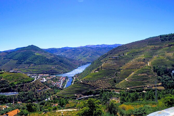 Douro Valley and Régua Panoramic Cruise with Lunch from Porto - Arrival Back in Porto: Bridges, Sea Mouth, and Gaia Lodges