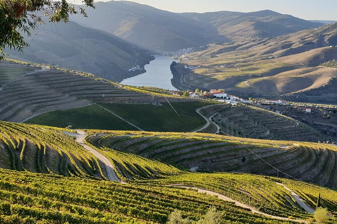 Douro Valley Best-Of Private Tour – Fully Customizable Experience - Sabrosa Chill & Wine: A Calm Finish in Vineyard Country