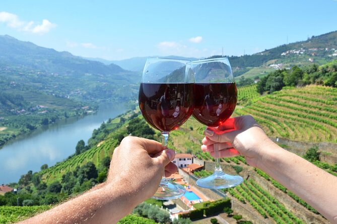 Douro Valley Delights Wine Tasting and Scenic Vistas - Key Highlights You’ll Feel Right Away
