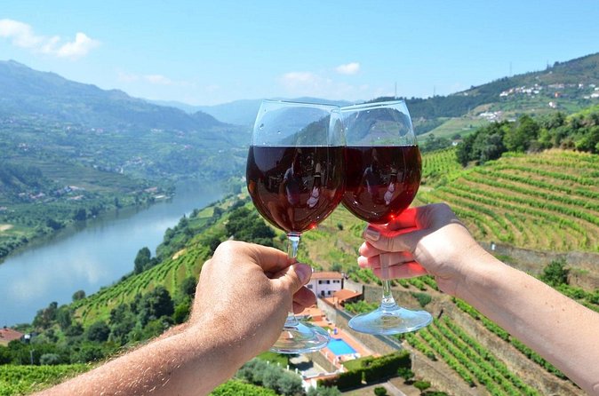 Douro Valley Delights Wine Tasting and Scenic Vistas - Quinta do Tedo: Organic Practices and Panoramic Views