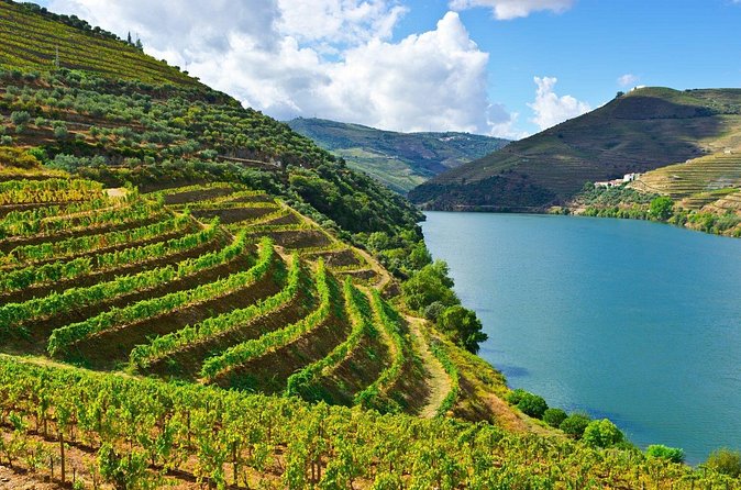 Douro Valley Delights Wine Tasting and Scenic Vistas - Pinhão: The Village Stop With the Tiled Train-Station Moment