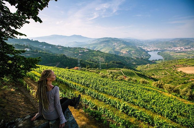 Douro Valley Delights Wine Tasting and Scenic Vistas - Quinta do Beijo: Traditional Techniques With a Modern Touch