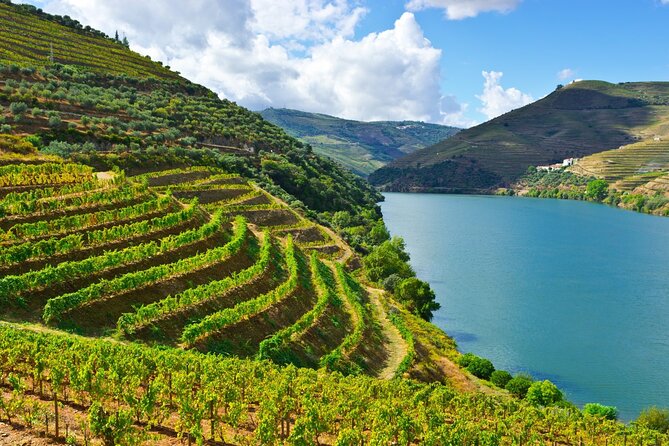 Douro Valley Delights Wine Tasting and Scenic Vistas - Price and Value: What $688.09 Buys You in the Douro