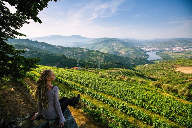 Douro Valley Delights Wine Tasting and Scenic Vistas - Rua Peso da Régua: The Douro Region’s Winemaking “Hub” Feeling
