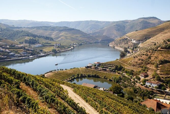 Douro Valley Exclusive and Sustainable Experience from Porto - Key Points to Know Before You Go