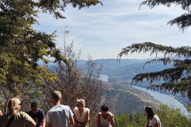 Douro Valley Exclusive and Sustainable Experience from Porto - Price and Value: Does $155.77 Make Sense for This 9-Hour Day?