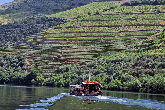 Douro Valley-Expert Guide-Boat-Lunch-Tastings-Offer wine bottle - Porto-to-Douro: the air-conditioned pick-up and tunnel-route drive