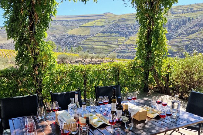 Douro Valley-Expert Guide-Boat-Lunch-Tastings-Offer wine bottle - Rabelo cruise from Pinhão: wine history on the water
