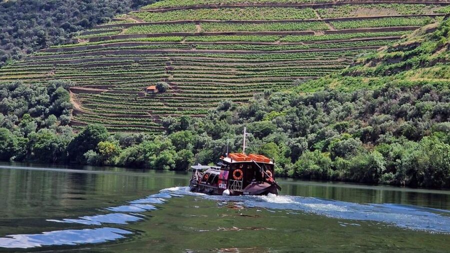 Douro Valley-Expert Guide-Boat-Lunch-Tastings PremiumService - Pickup, transport, and the 9-hour rhythm that prevents rush