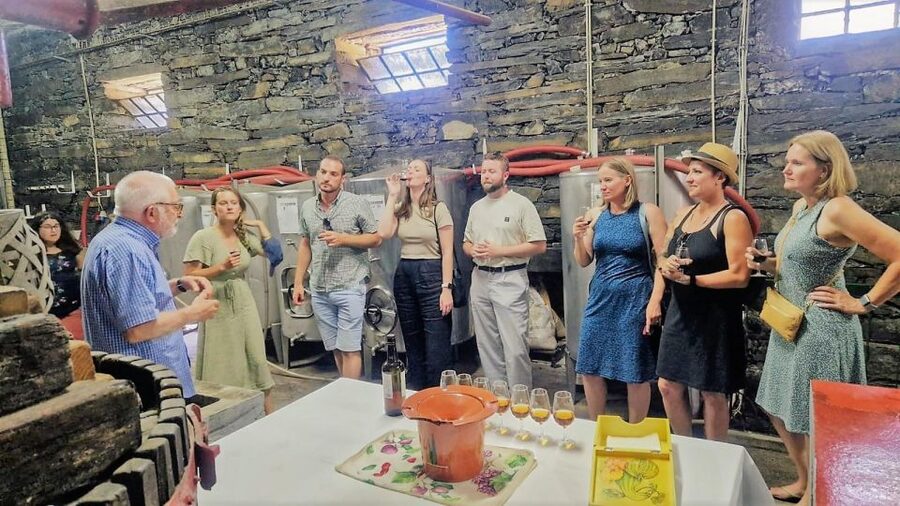 Douro Valley-Expert Guide-Boat-Lunch-Tastings PremiumService - Pinhão boat cruise: the view is the point, and you get wine on board