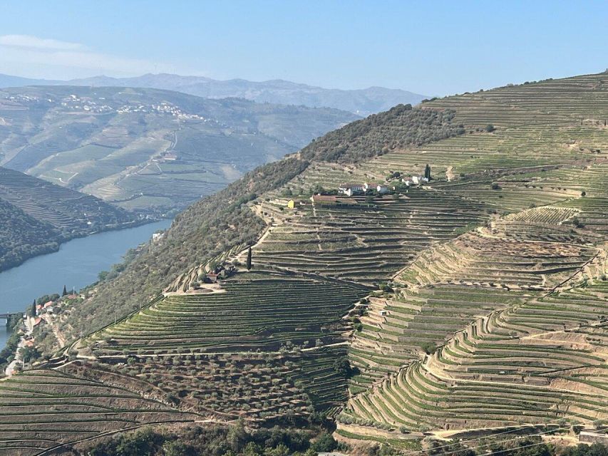 Douro Valley-Expert Guide-Boat-Lunch-Tastings PremiumService - Tastings and lunch: unlimited DOC wine changes the whole mood