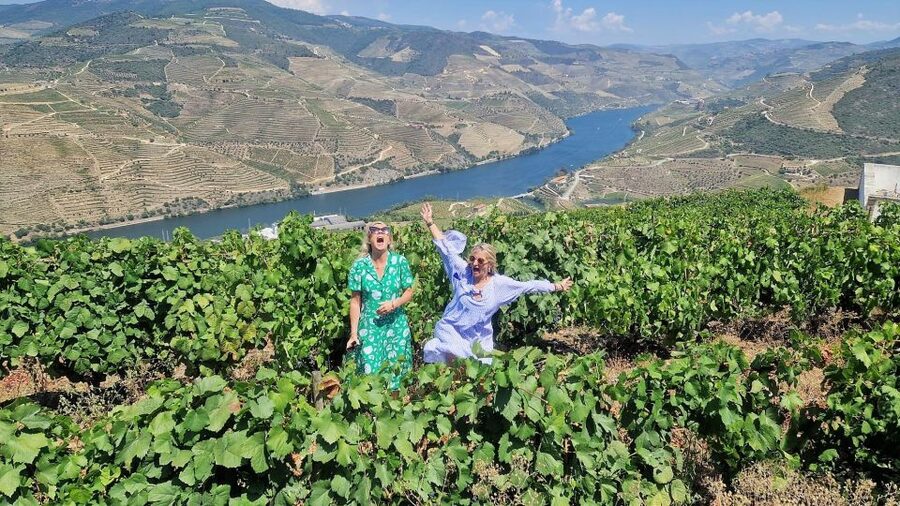 Douro Valley-Expert Guide-Boat-Lunch-Tastings PremiumService - Price and value at $234: what you’re buying besides wine