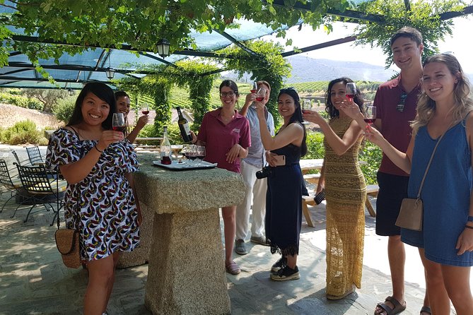 Douro Valley for Wine Lovers with Visit to 4 Wineries and Lunch - A Porto to Douro Valley Wine Day That Starts Early