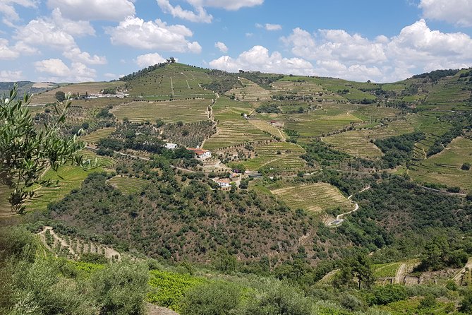 Douro Valley for Wine Lovers with Visit to 4 Wineries and Lunch - Guides Are the Real Secret Ingredient
