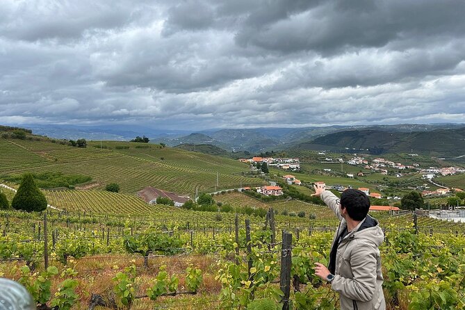 Douro Valley for Wine Lovers with Visit to 4 Wineries and Lunch - Who This Tour Suits Best (And Who Might Feel Frustrated)