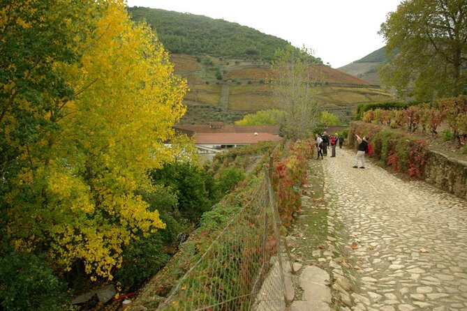 Douro Valley: From Casal de Loivos to Pinhão Walk and Wine Tour - Peso da Régua Coffee Stop: A Small Break That Helps