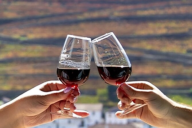 Douro Valley Full Day Tour with River Cruise and Wine Tastings - Morning ride out of Porto: Trindade to the Douro in 8:30 mode