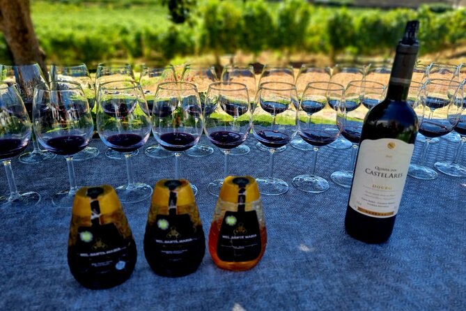 Douro Valley Guided Tour of 3 Vineyards with Lunch - Miradouro Torguiano de São Cristóvão do Douro: a short break with big views