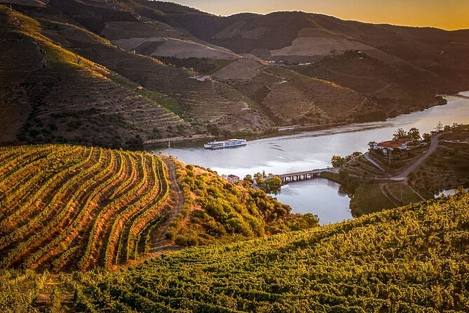 Douro Valley Half-Day Tour: Wine Tasting and Boat Ride - Half-Day Timing From Porto: Why 1:00 pm Works