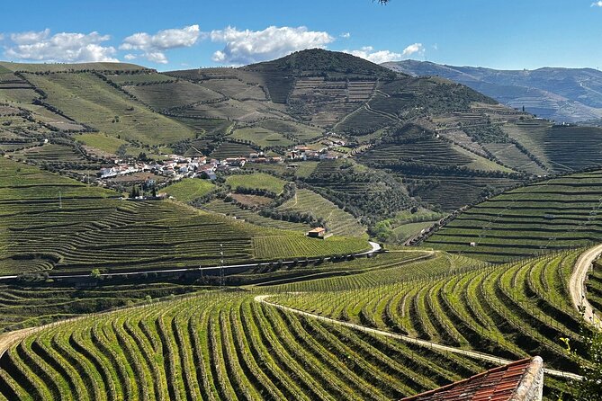 Douro Valley Half-Day Tour with Winery and Lunch From Porto - Key highlights you should care about
