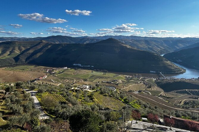 Douro Valley Half-Day Tour with Winery and Lunch From Porto - Valença do Douro viewpoint: the photo stop that’s actually worth it