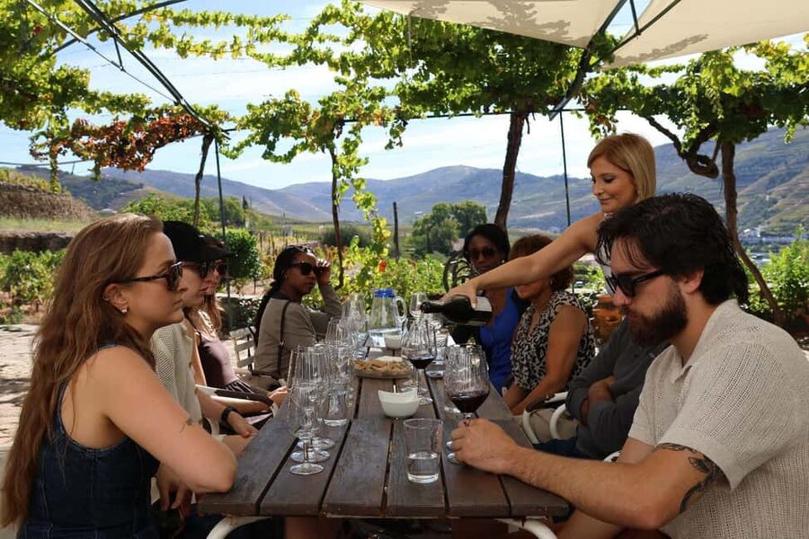 Douro Valley: Half-Day, with 1 winery & 1-h boat tour - A Half-Day Douro Valley Plan That Actually Fits Porto Time