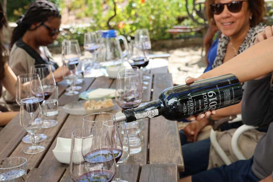 Douro Valley: Half-Day, with 1 winery & 1-h boat tour - Pinhão Boat Cruise: Porto Wine Cocktail and Snacks on the Water