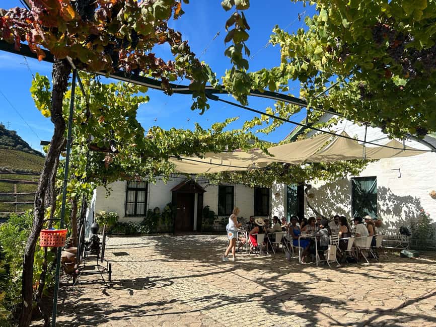 Douro Valley: Half-Day, with 1 winery & 1-h boat tour - Guides and the Small-Group Difference