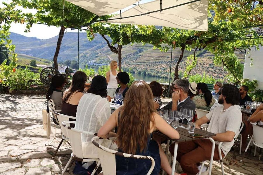 Douro Valley: Half-Day, with 1 winery & 1-h boat tour - Price and Value: Is $80 Worth a Winery + Boat + Drive?