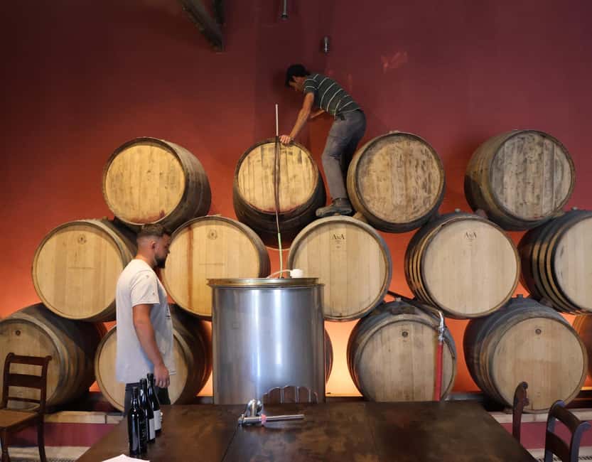 Douro Valley: Half-Day, with 1 winery & 1-h boat tour - FAQ