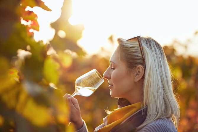 Douro Valley: Historical Sites, Wine Experience, Lunch & Cruise - Guides and the feel of the day: why it makes a difference