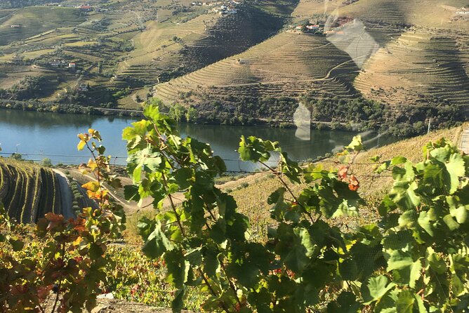 Douro Valley in off road - Private Tour - Key things to know before you go